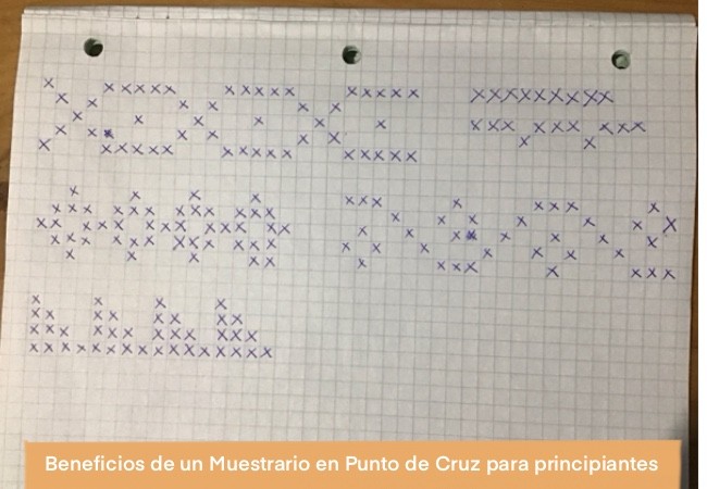 Muestrario Punto De Cruz Principiantes